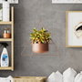 Aberto Design Harpusta - Copper